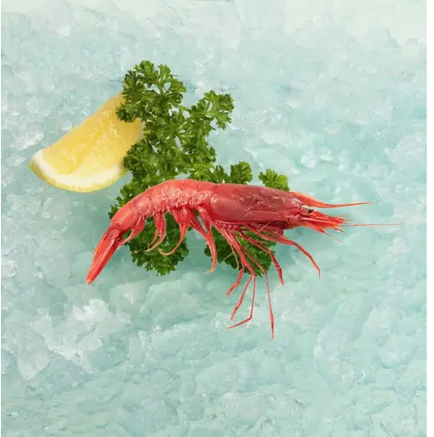 Peixos De Palamos Spanish Frozen Red King Prawn (Carabinero) [Box] 400g