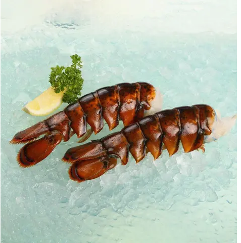 Cozy Harbor Maine Frozen Lobster Tails 212g