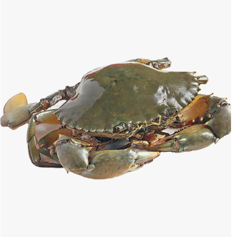 Virgin Crab Approx. 300g