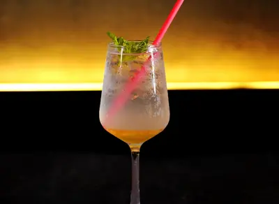 Gin Fizz