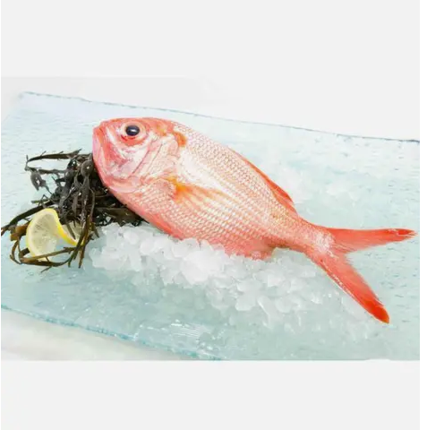 New Zealand Chilled Red Snapper Fish 300g