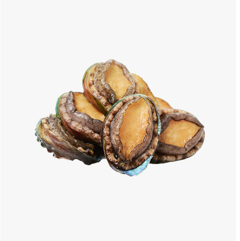 Abalone 6pcs