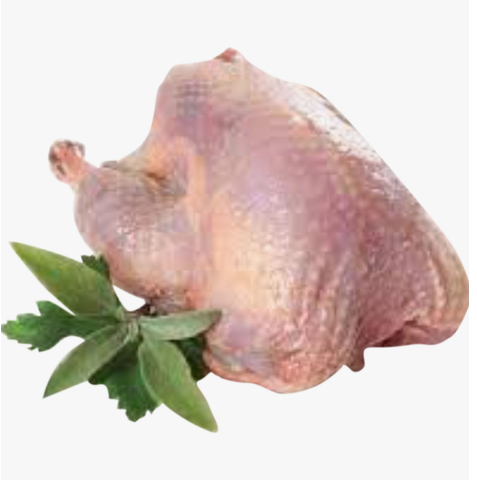 Frozen No Hormones Partridge 1 Piece