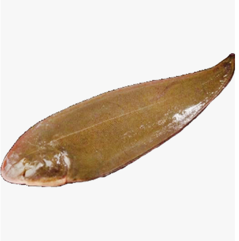Golden Sole Fish 1pc Approx