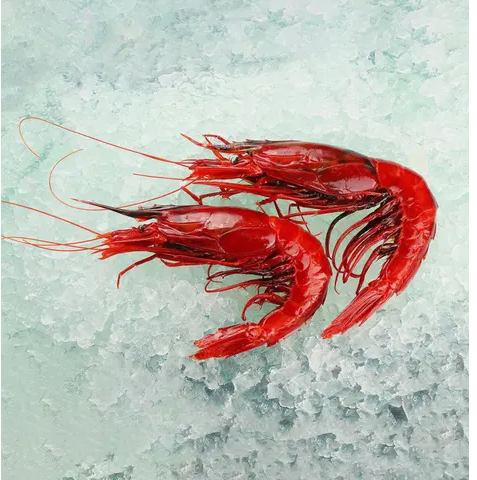 Spanish Red King Prawn Jumbo (Previously Frozen) 300g