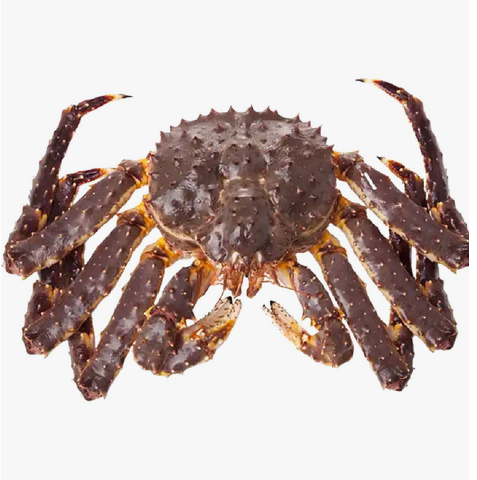King Crab 1pc