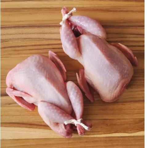 France Quails 2pcs