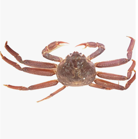 Snow Crab 1pc