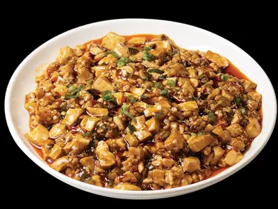 Mapo Tofu-15.3