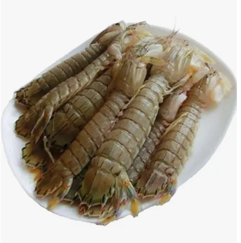 Mantis Shrimp Approx. 600g